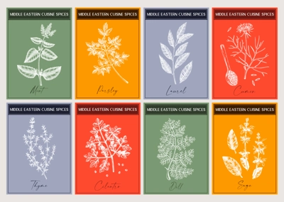 Middle Eastern spice labels set. Basil, mint, rosemary, parsley, sage, bay leaf, fennel sketches. Herbs and spices hand-drawn vectot illustration. Modern print design. NOT AI generated